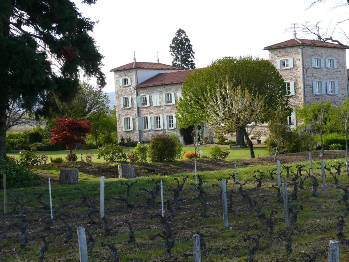 Chateau De Grandmont Chambres D'Hotes Blacé 외부 사진